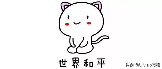 关于弓形虫你所不知道的一切,被弓形虫刷屏的视频