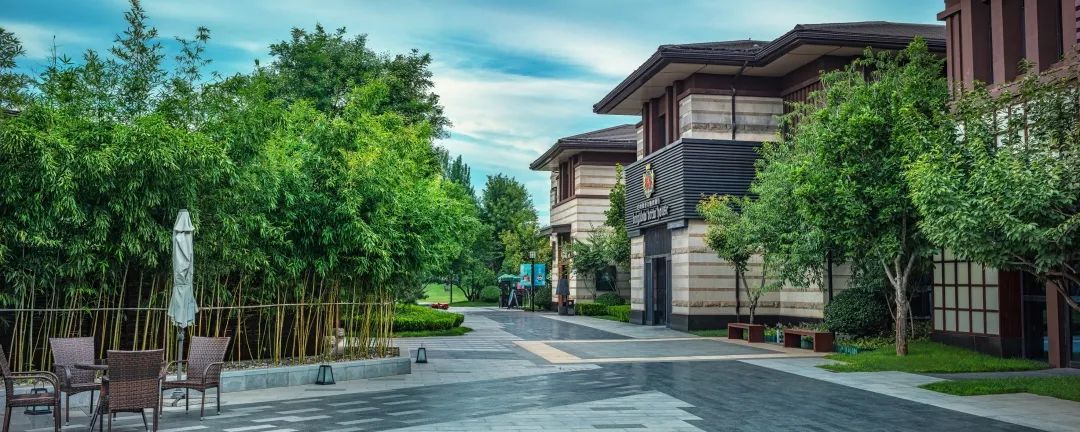 以初心鉴真心丨我家配套800亩森林运动公园，是怎样一种体验？