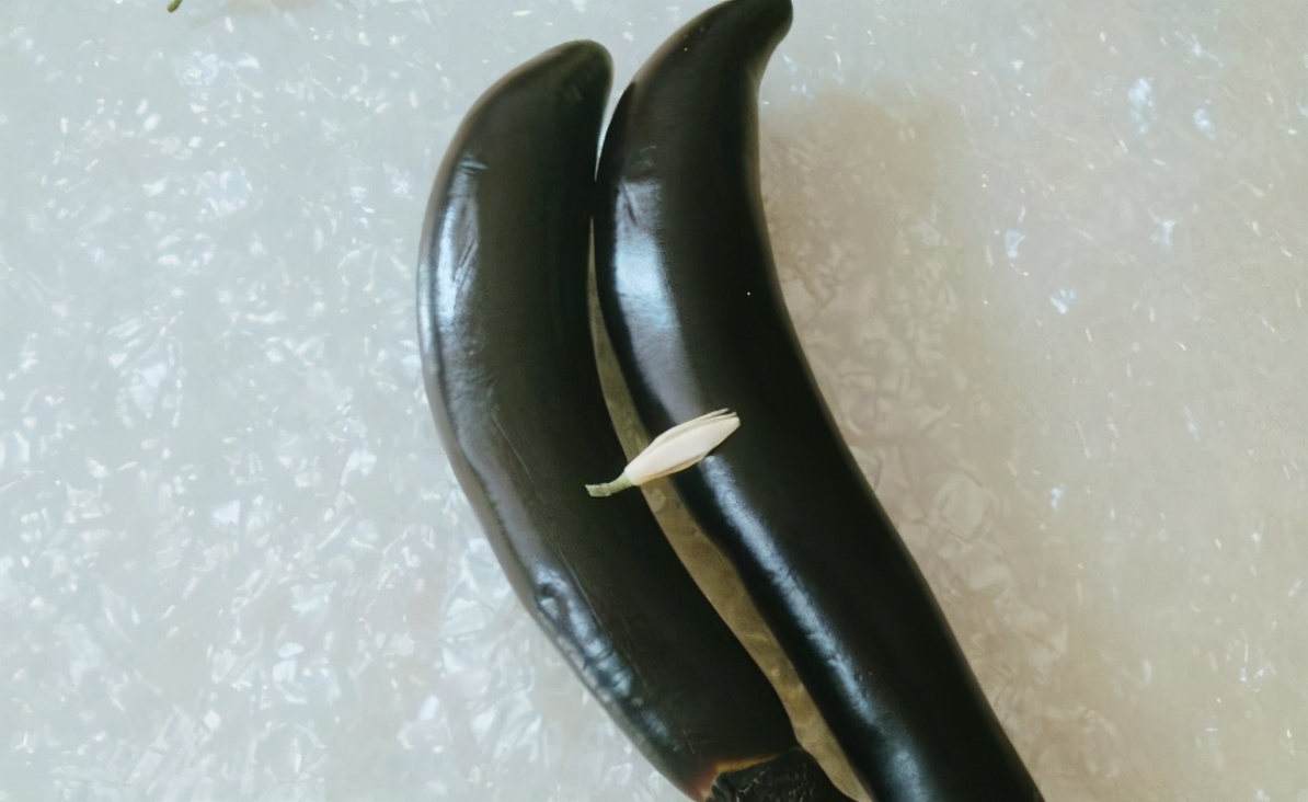 粤港澳大湾区美食推荐,佛山岭南美食推荐