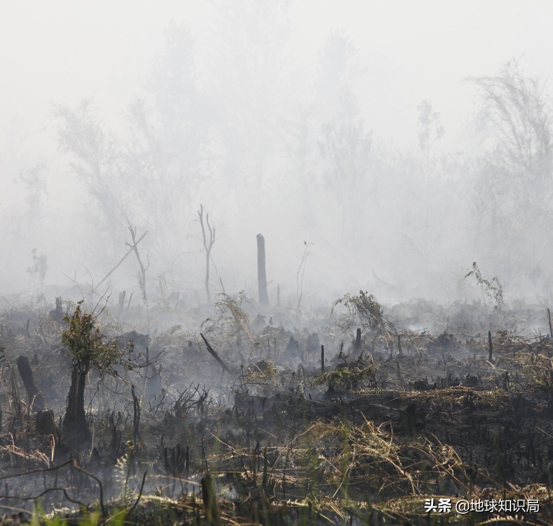 印尼在亚洲的实力排名,印尼有几亿人