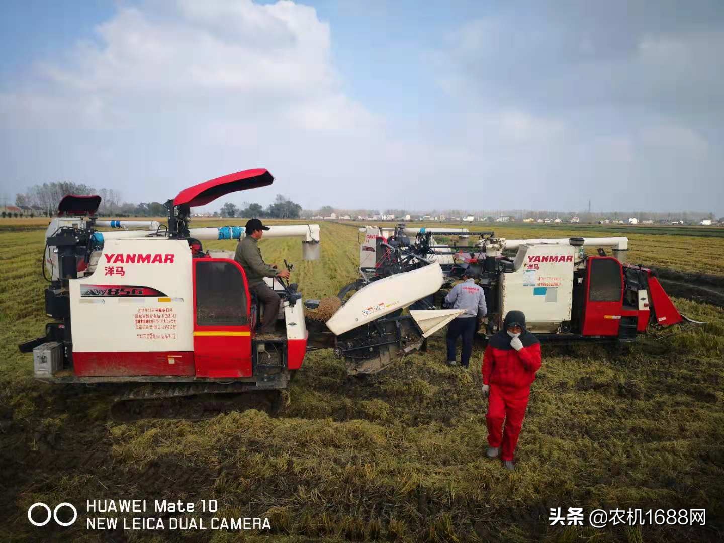 洋马收割机590多少钱一台,洋马插秧机2023款二手价