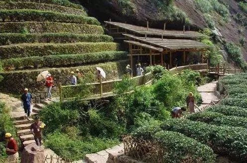 6月份去武夷山的旅游的攻略,厦门到武夷山自助旅游攻略路线