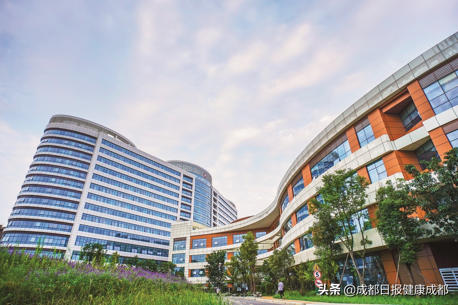 成都市第七人民医院：聚力打造“呼吸四驱”四位呼吸专家以不同的专长相互配合，形成呼吸系统疾病的黄金组合