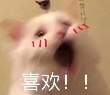 奇怪的知识增加了奇迹,奇怪的知识增加了动图