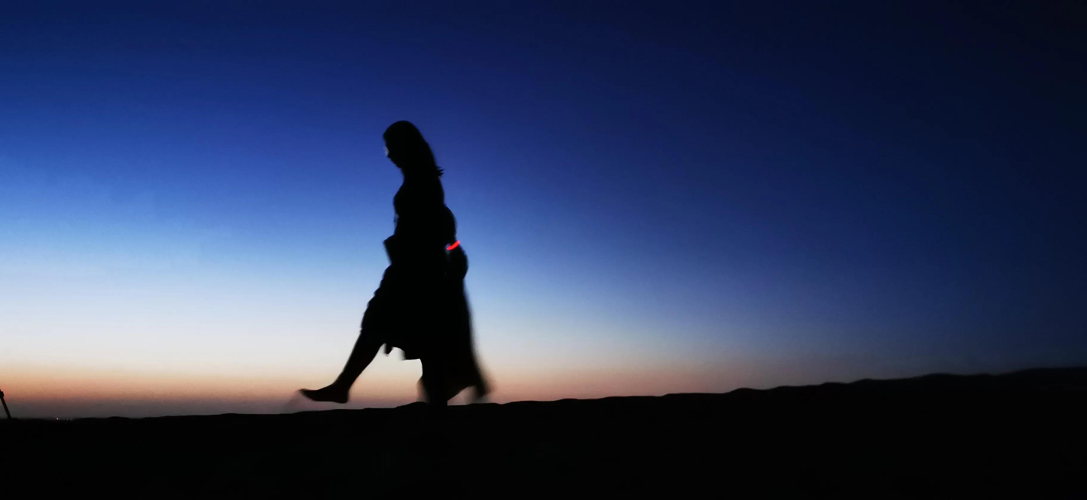 人生如逆旅,人生如逆旅我亦是行人是啥意思