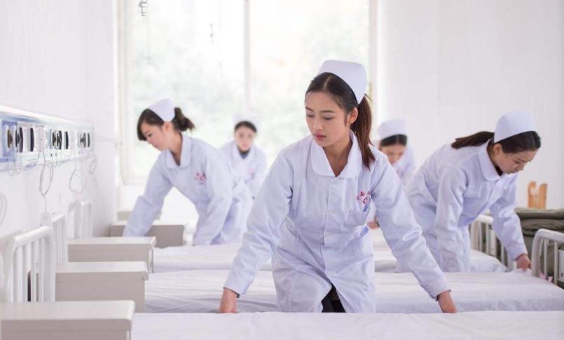 一张图告诉你专科和本科的区别,一张图告诉你有多专业