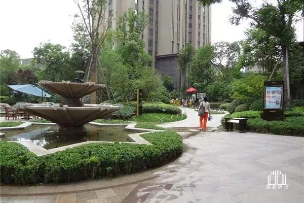 郑州二七区人和路小学怎么样,郑州二七区十大公认最差的小学