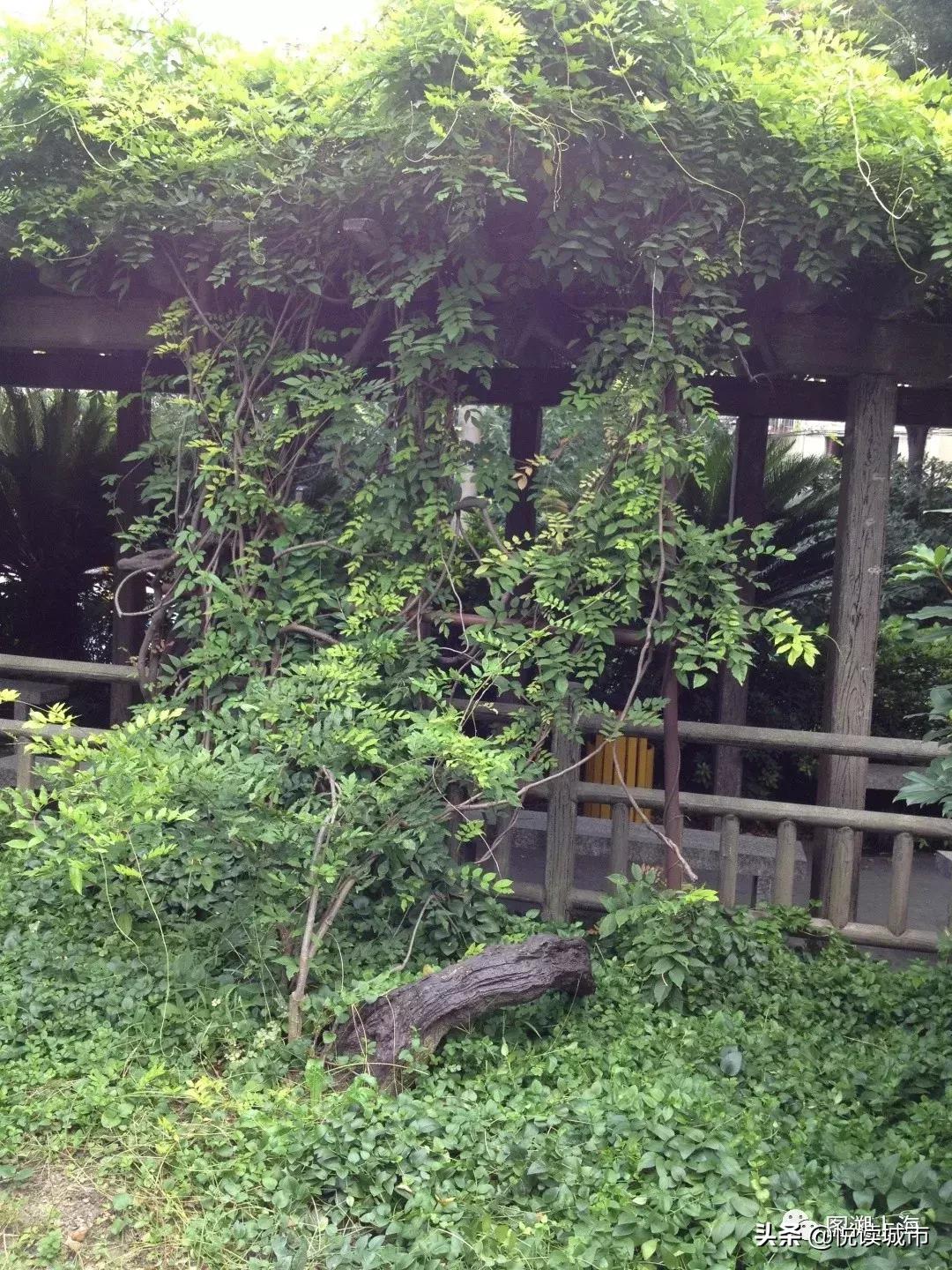 悦读城市浦东,悦读城市上海