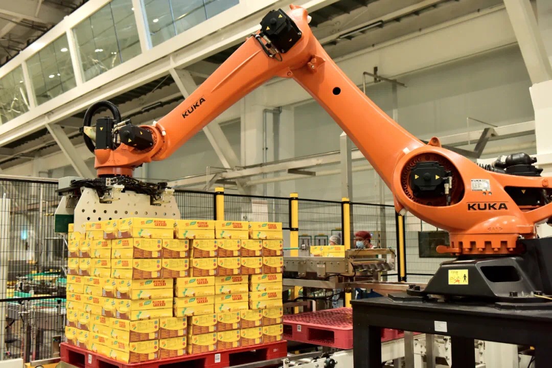 维他奶集团发展,维他奶项目规划