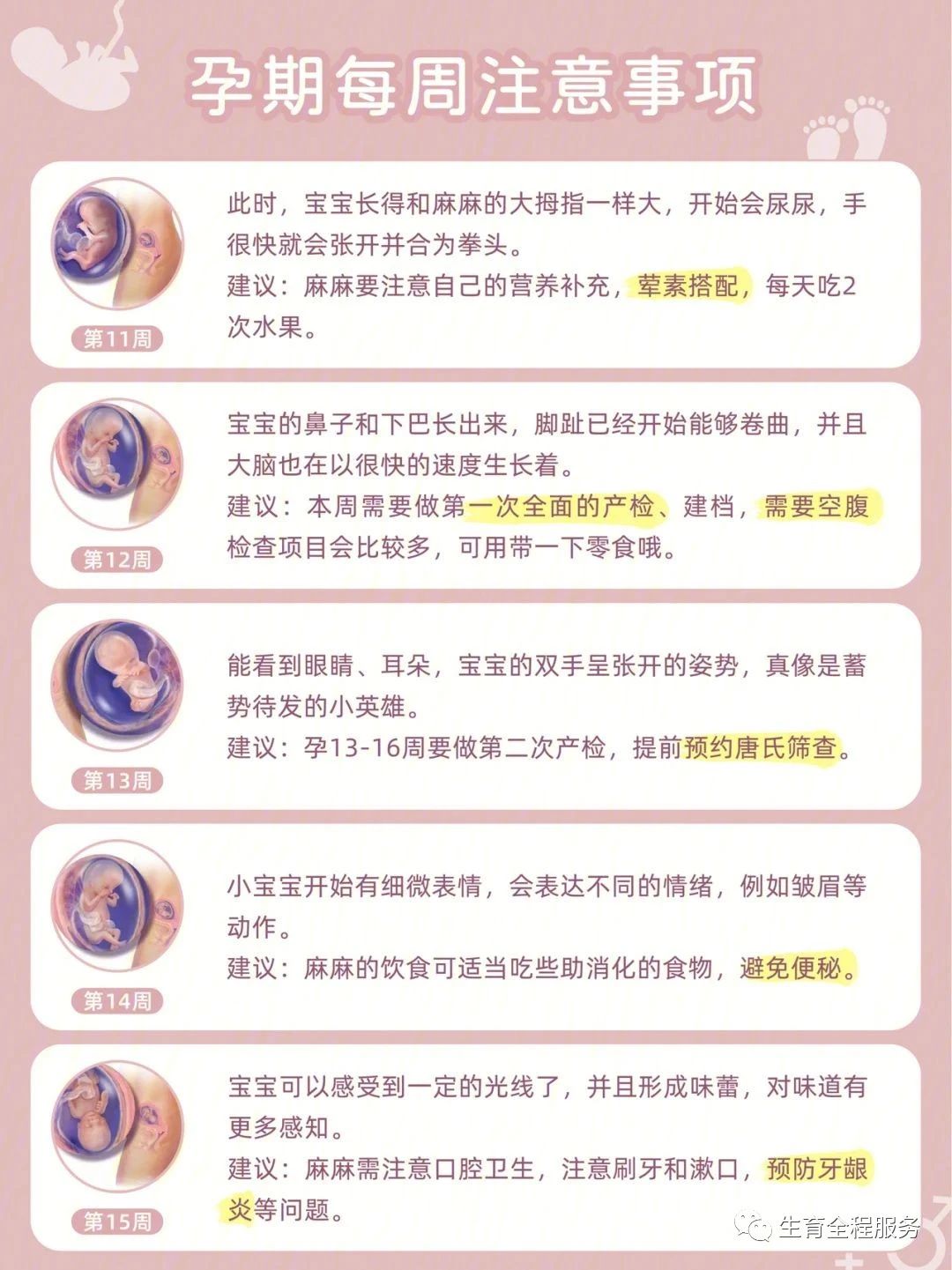 每一位准妈妈最可信赖的孕期指南,孕期1-40周应注意事项
