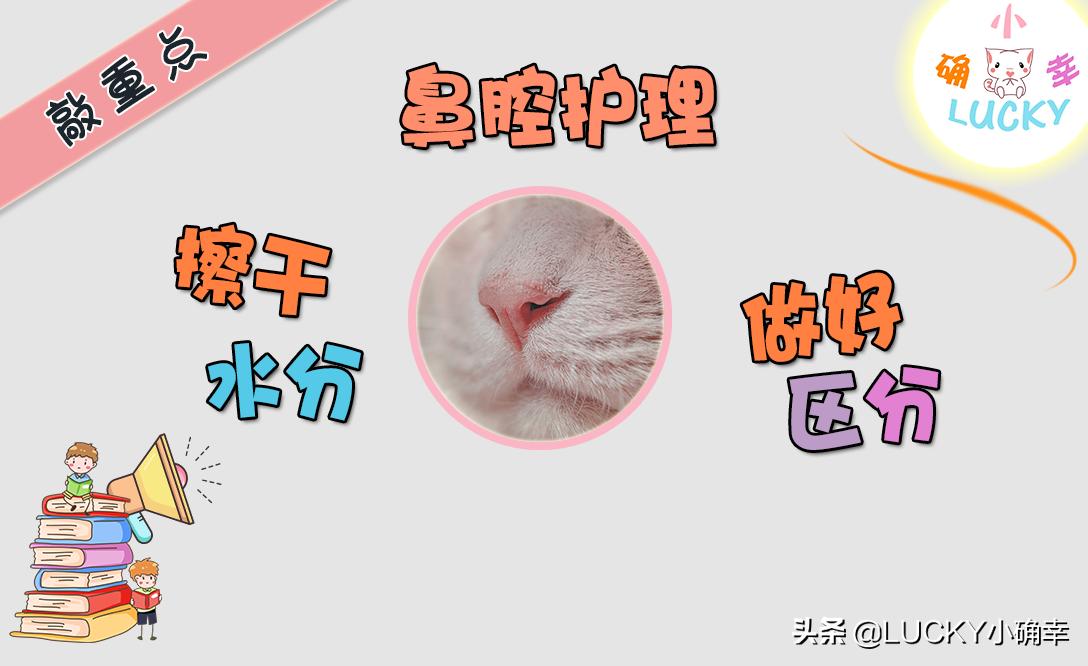 猫咪喝水呛鼻子怎么办,猫咪不爱喝水鼻子干怎么办
