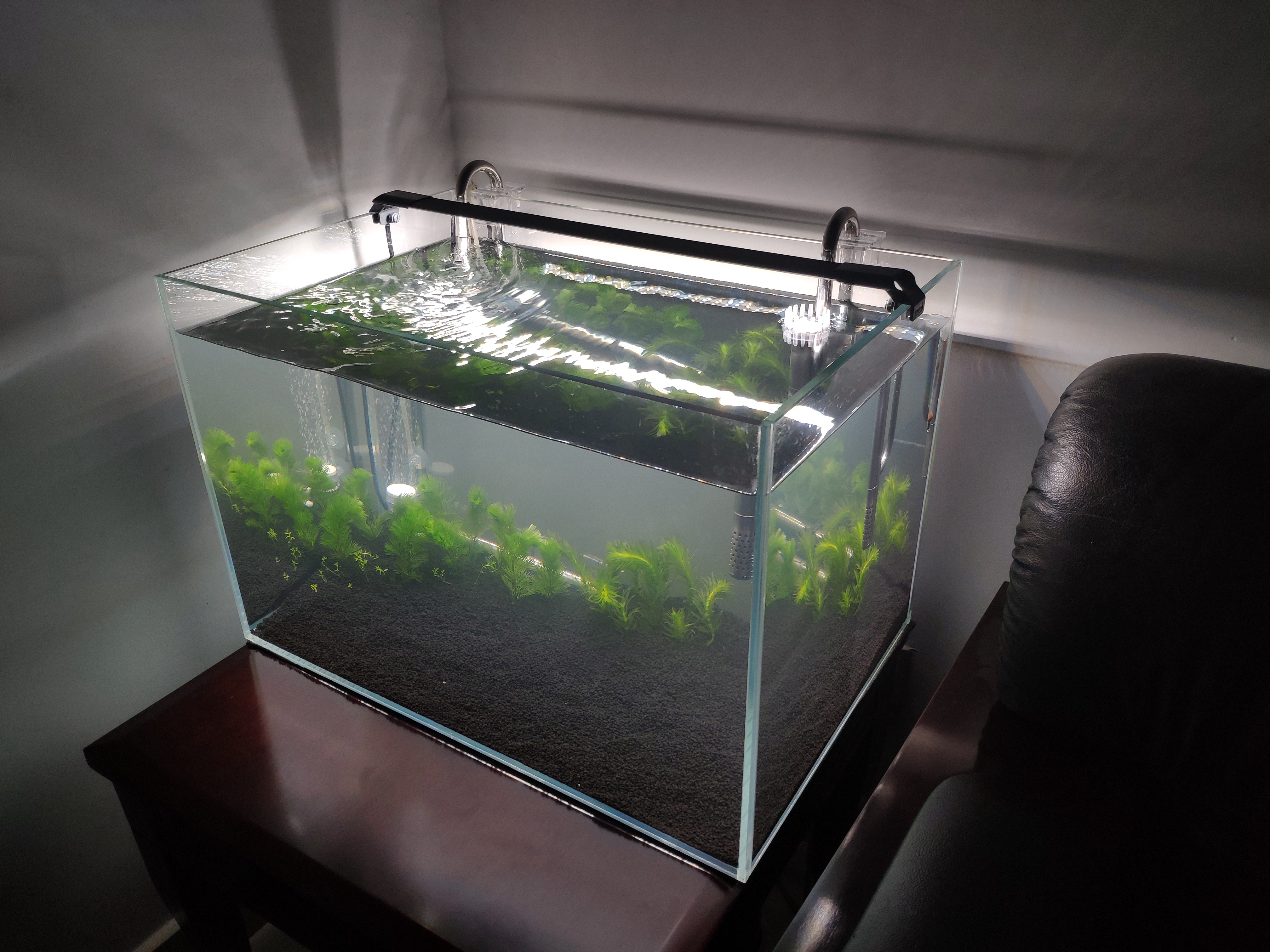 想养鱼但是不想买鱼缸,想养鱼但是不想换水