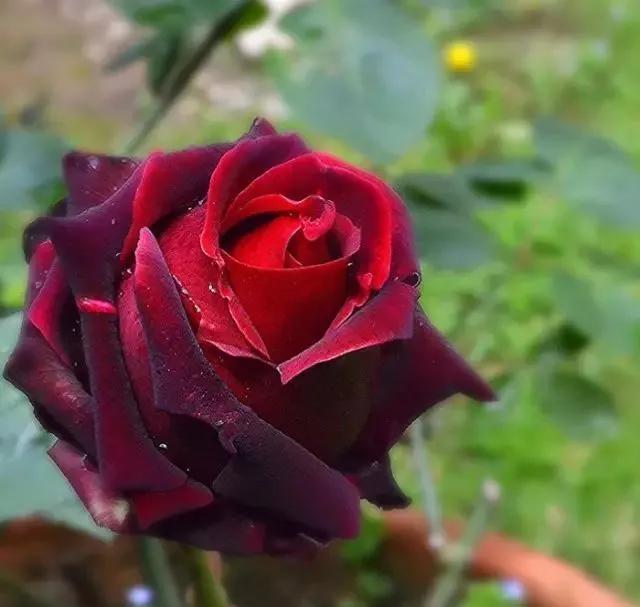 每天学习一点点女性小常识,每天学习一点点科普一下