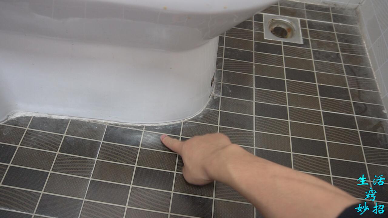 天气一热厕所出现的小飞虫是什么,卫生间小飞虫找不到原因