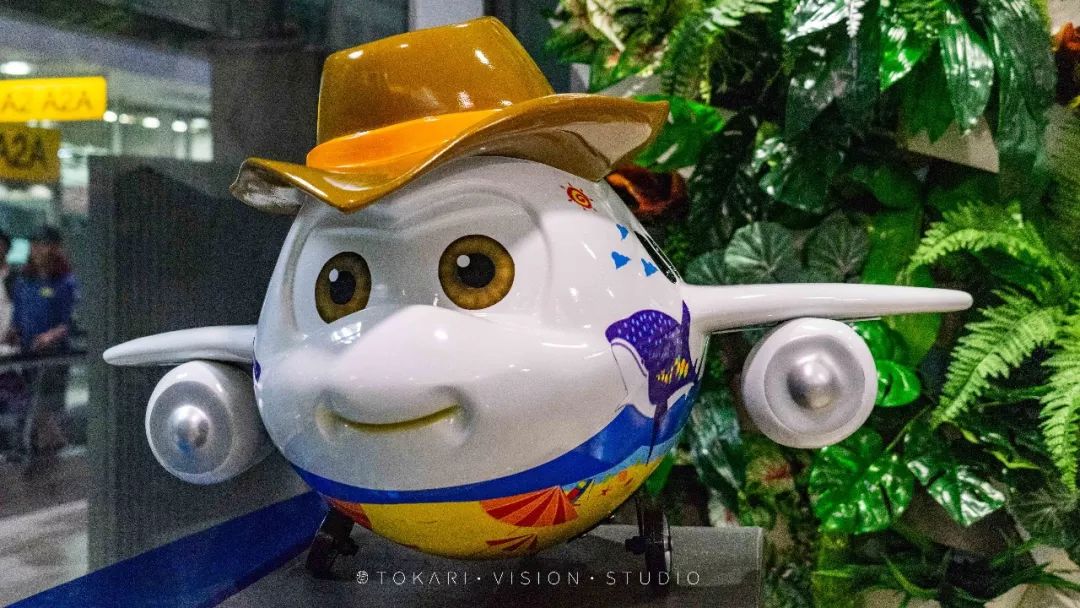 泰国航空都有哪些,泰国小常识100例