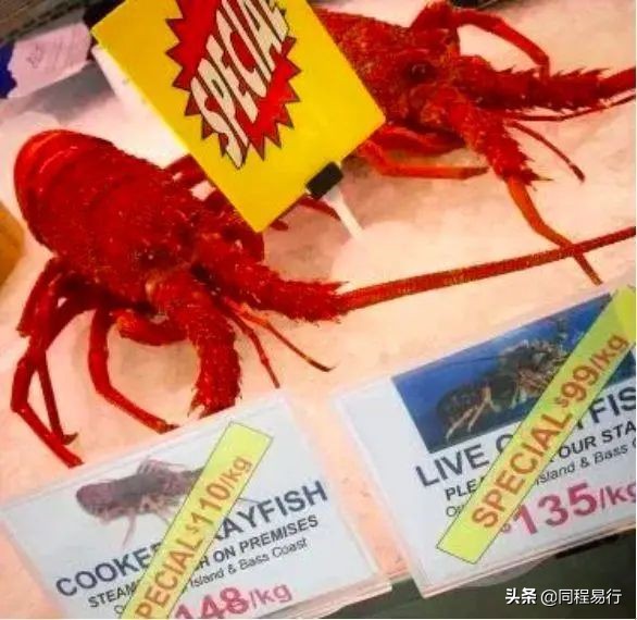 中国人宅在家里的日子，全世界：快快快撑不住了