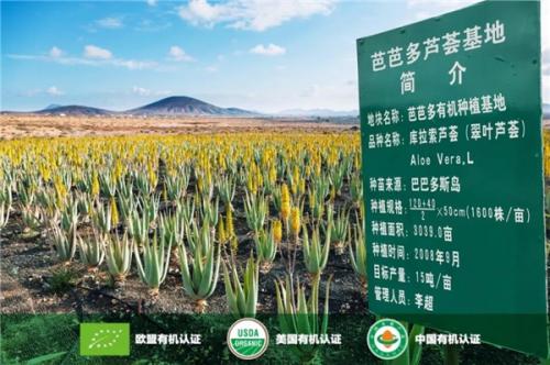 荟佰丽芦荟和芭芭多有什么区别,荟宝跟芭芭多对比哪个比较好