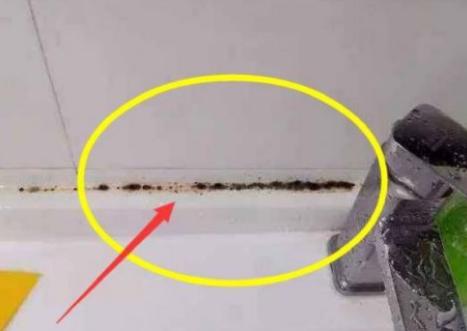 卫生间生霉菌怎么清除,卫生间霉菌怎么根除最简单方法
