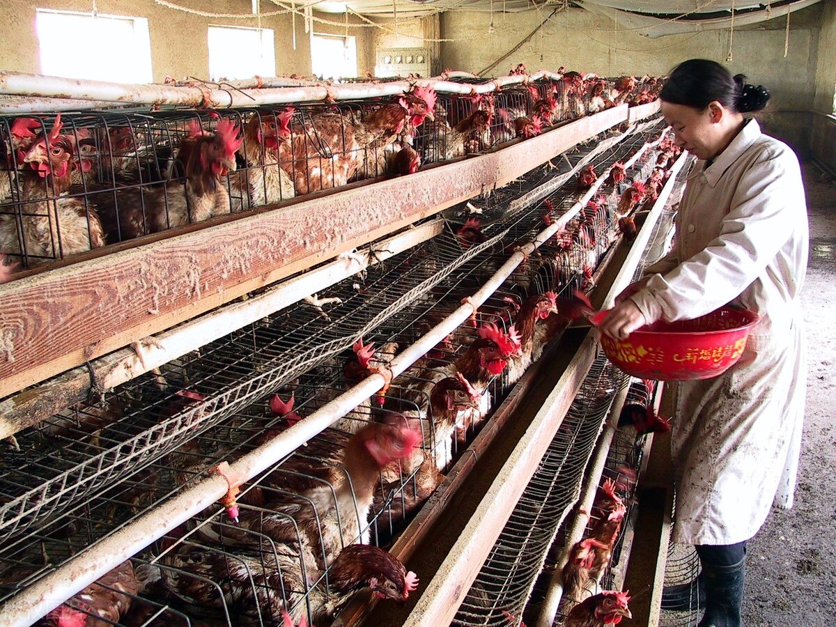 滨州市项目可行,滨州市2021年重点招商项目名单