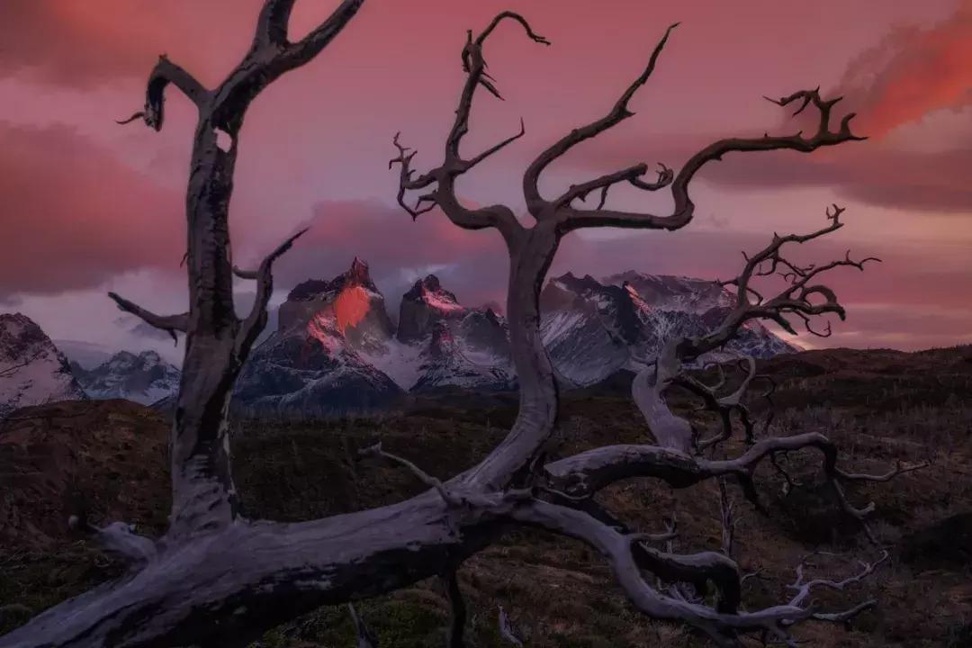 十年风雨江湖路,十年人间历程