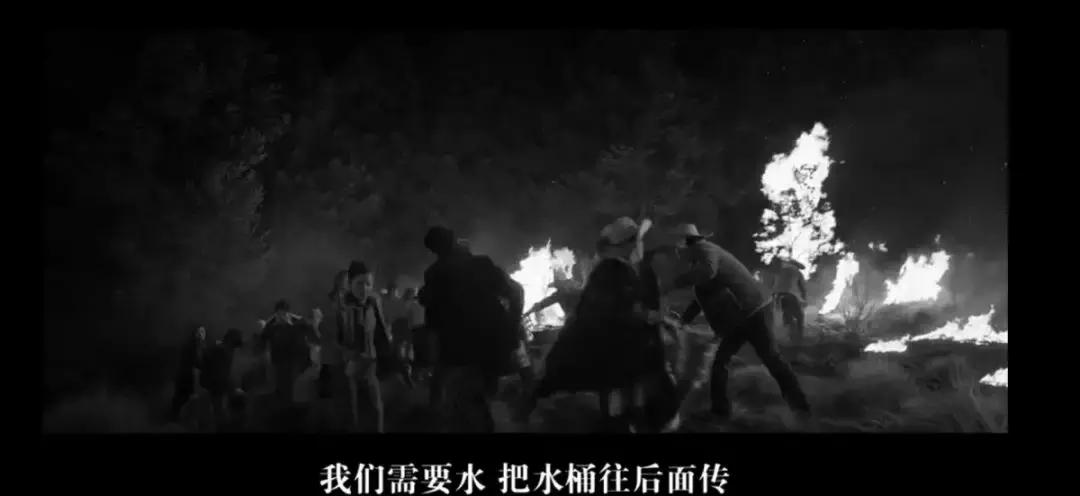 奥斯卡评选20世纪100部电影,奥斯卡10个奖项