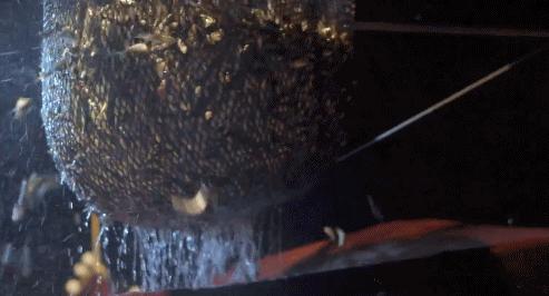 被央视表扬的b站up主,b站up主真实故事