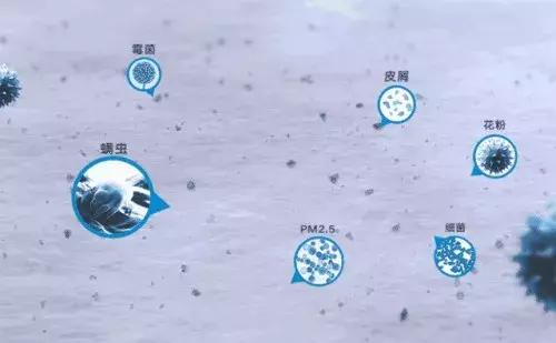 天气潮湿蘑菇长霉了怎么办,梅雨季节房间墙壁长霉怎么处理