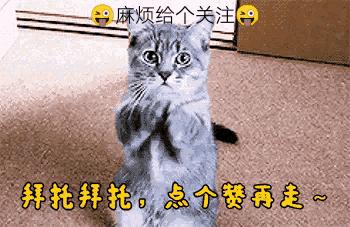 各个球员遭恶意犯规,野球场被恶意犯规队友霸气回击