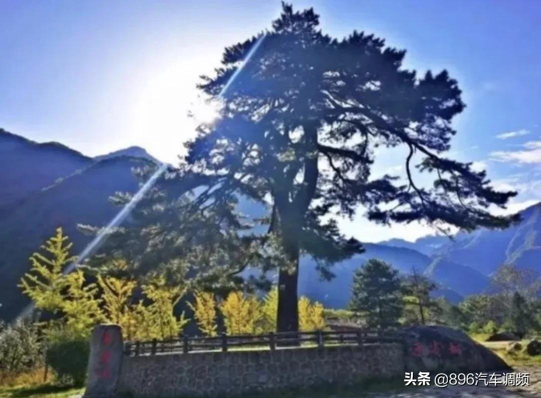 西安新增旅游景点最新消息,西安免费景区开放的最新通告