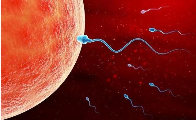 男性生育能力强弱,男性生育能力看什么指标