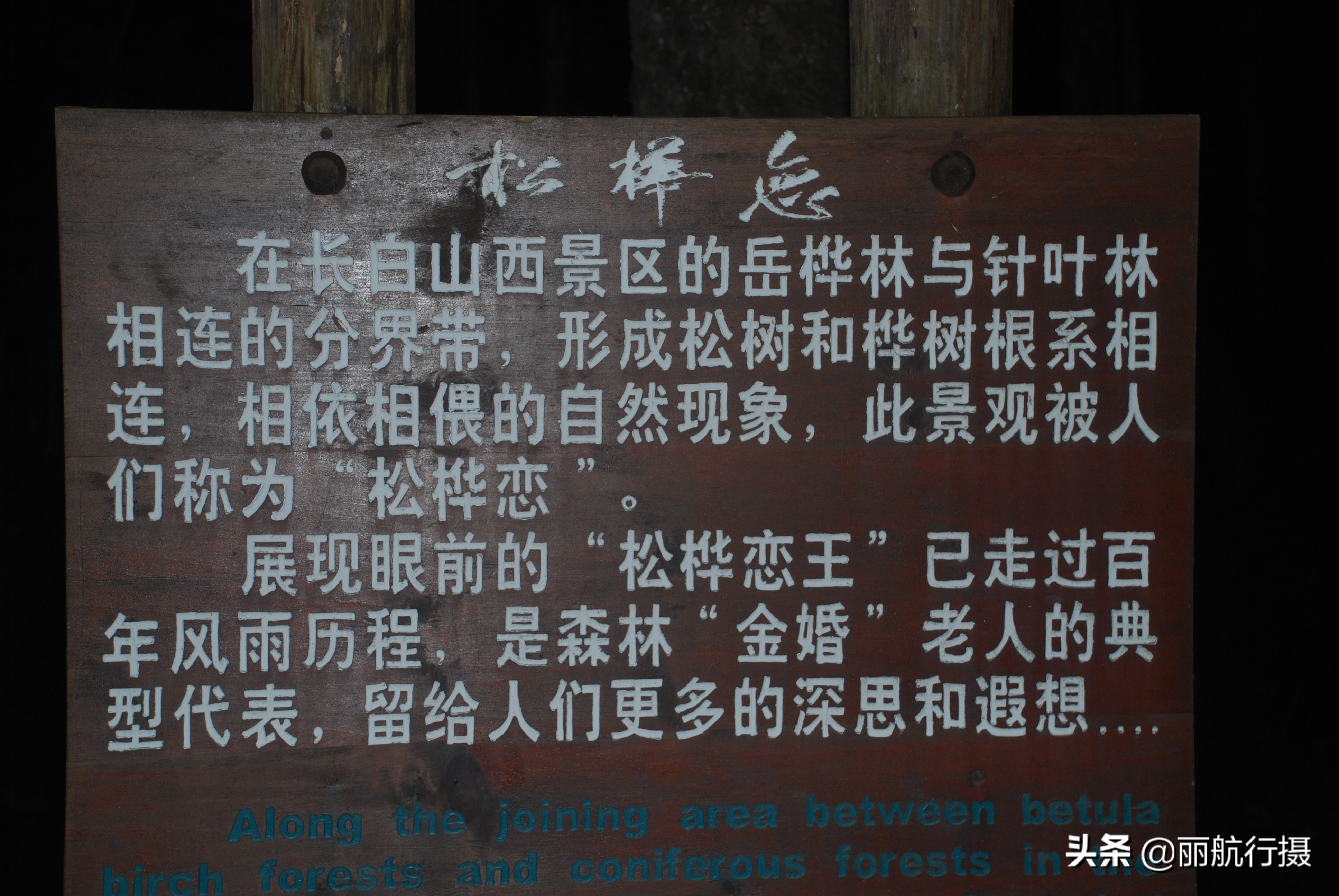 成都到东三省自驾游最佳路线,成都至东北自驾游