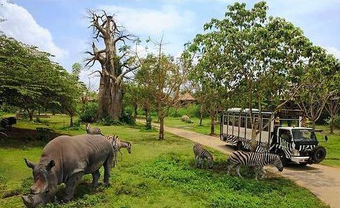 中国最大的室内游乐场在哪,十大超级大型游乐场