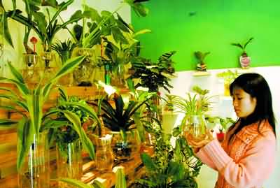 宝妈小本创业100例,2万元小本创业项目宝妈