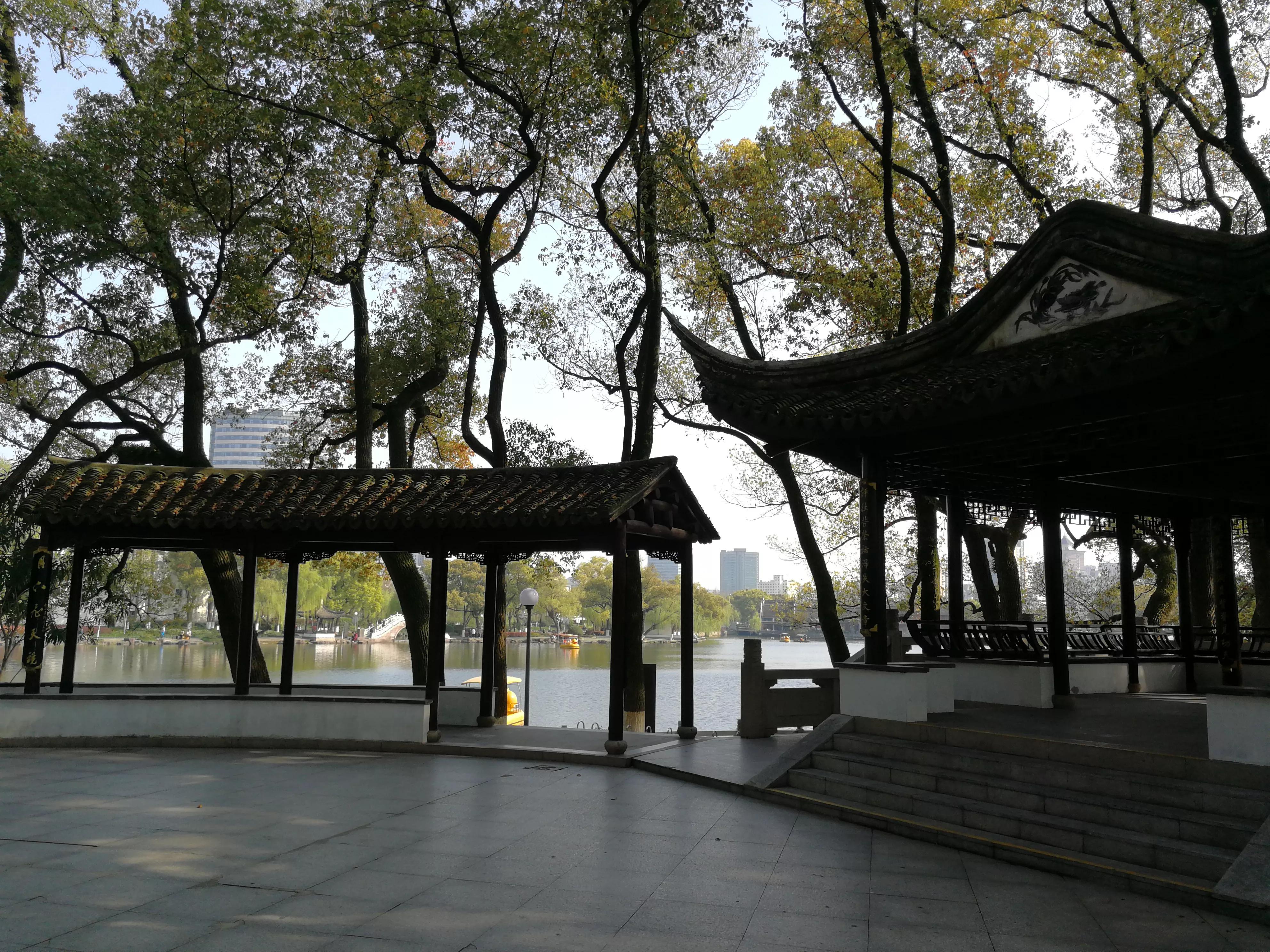 宁波月湖公园夜景,宁波明珠月湖