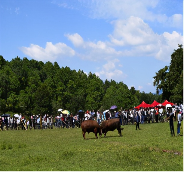 云南禄丰旅游线路攻略图,云南冬季自驾游最佳线路图