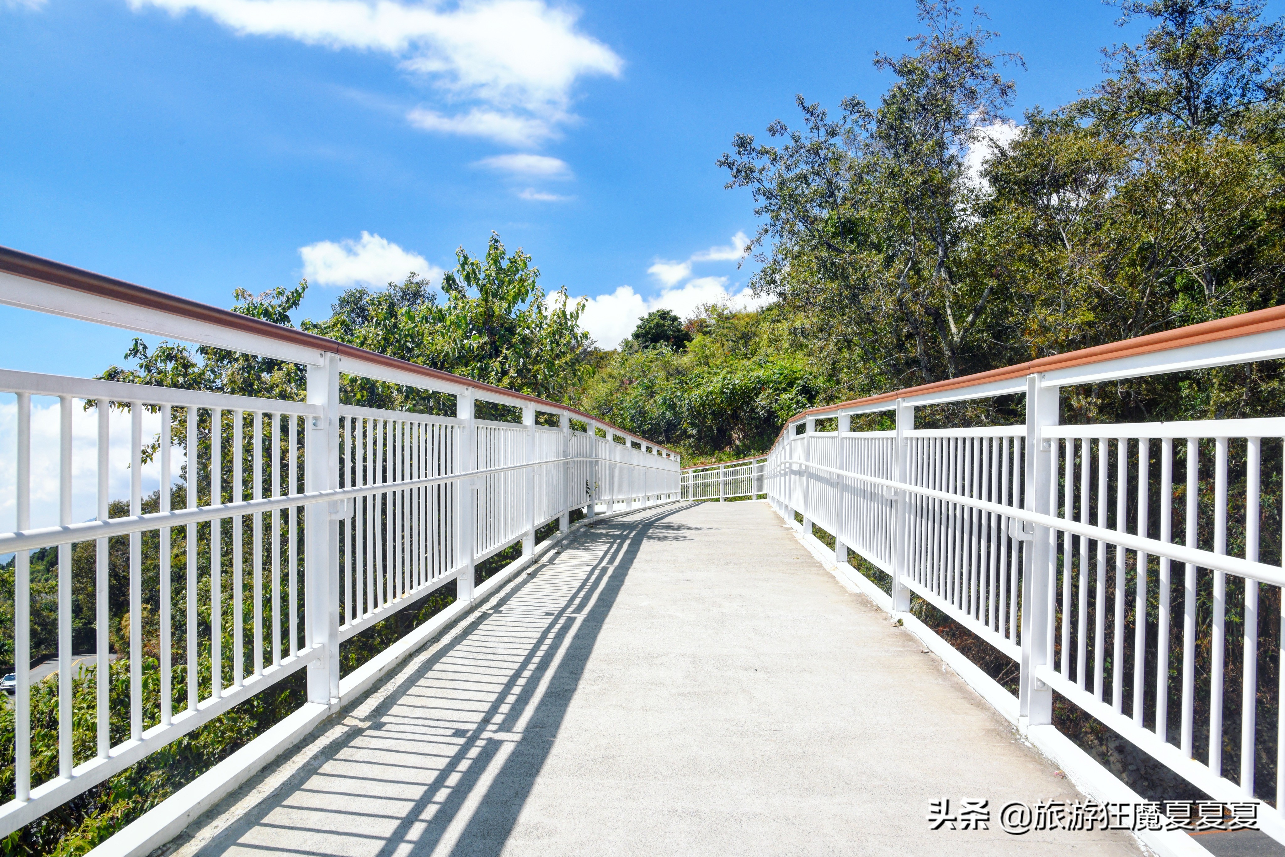 台湾适合亲子游的景点推荐,台湾清境农场游后感