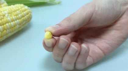 爆浆糖心水果玉米,如何挑爆汁甜的水果玉米