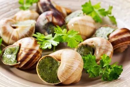 号称软黄金的是什么,被誉为软黄金