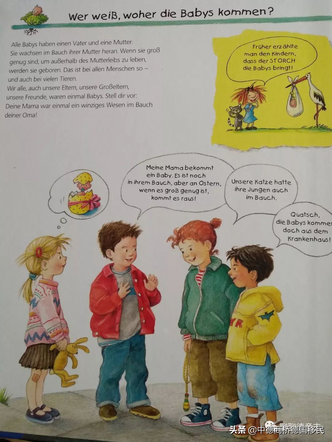 德国性教育绘本,德国儿童性教育