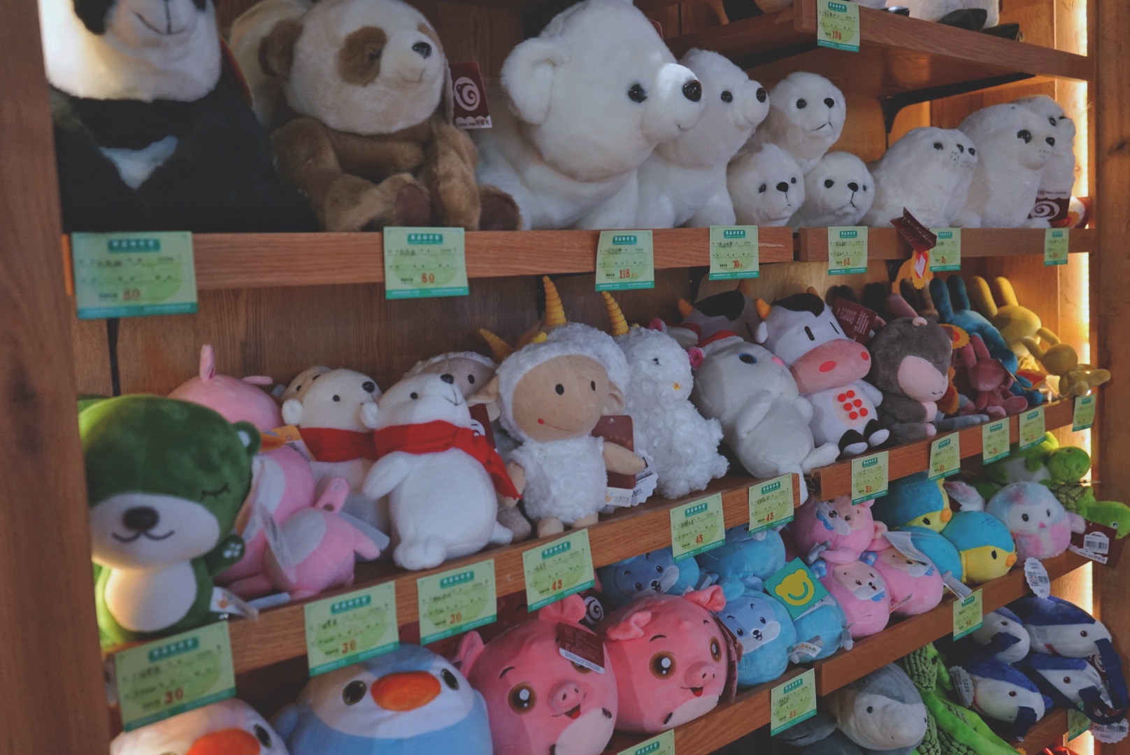 苏州乐园夜场游玩攻略,苏州乐园攻略玩的人多不