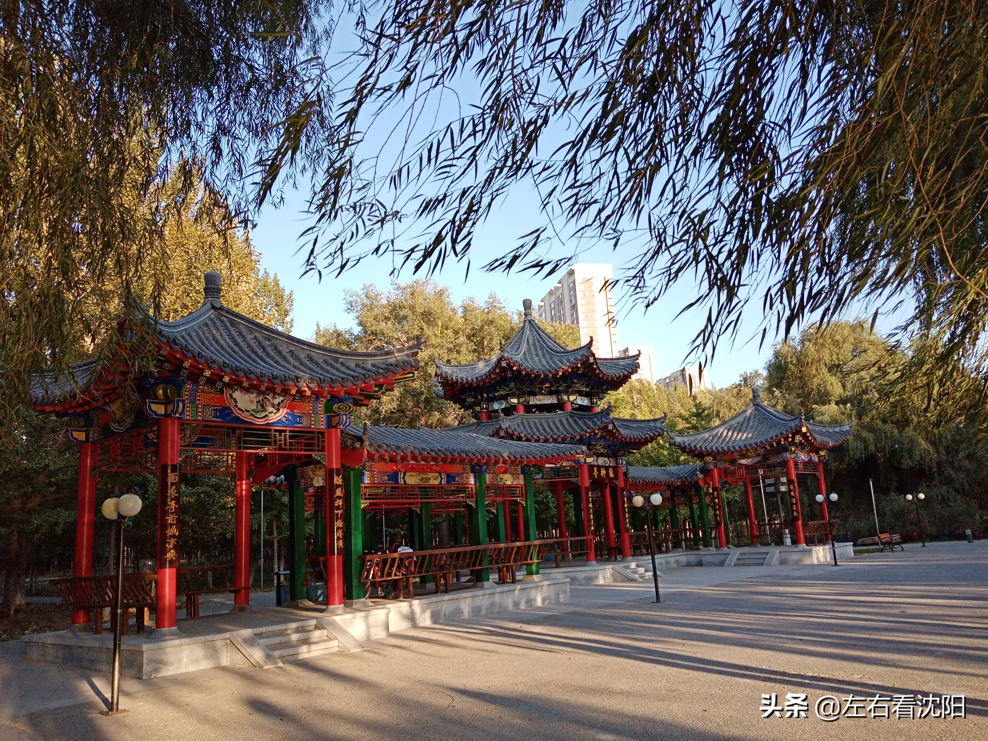 沈阳沈水湾公园看日出,沈阳浑河看海的地方