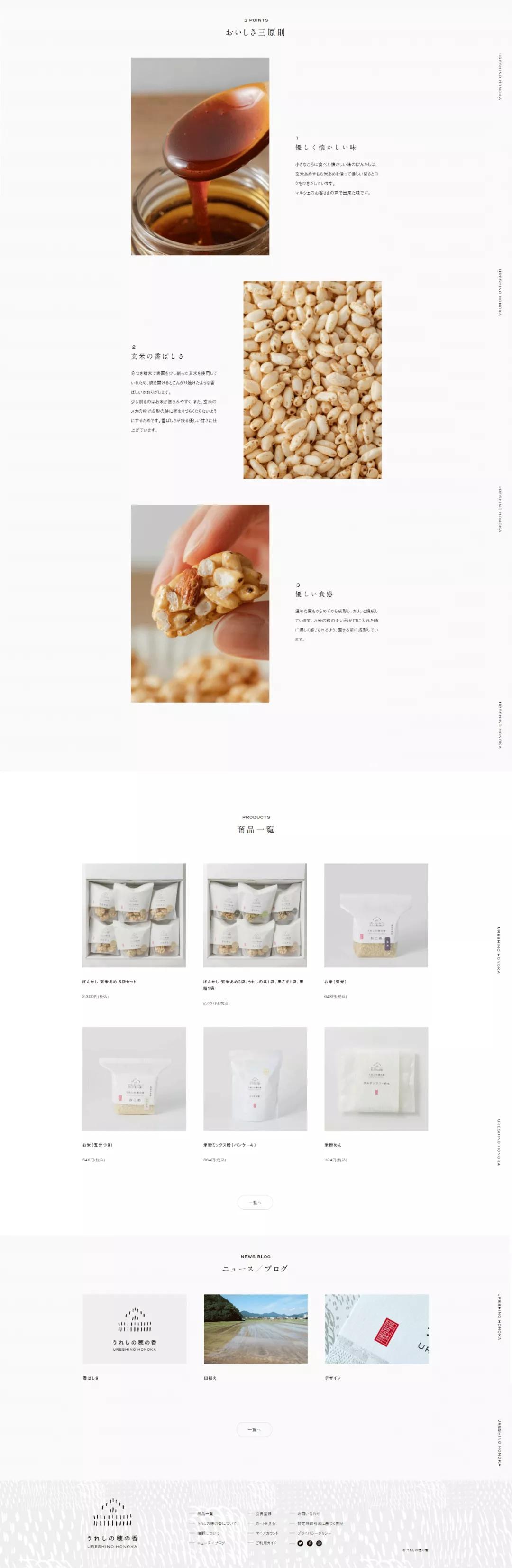 网页布局与网页配色设计,极简网页设计排版布局