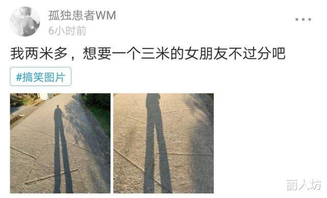 “一个两米多的沙雕，想要一个三米的女朋友......”你品品哈哈