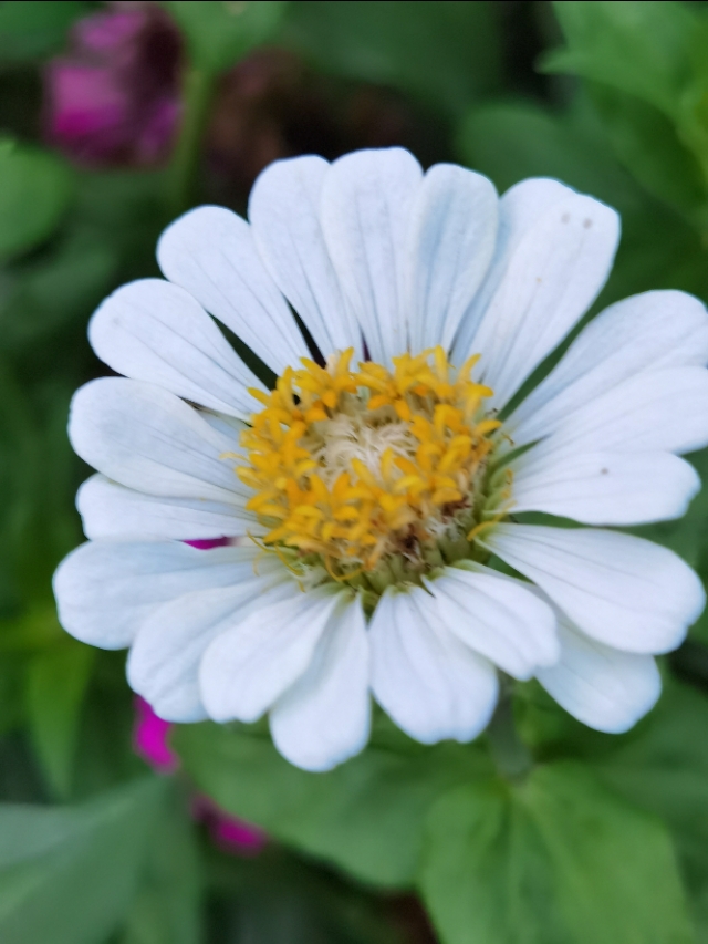 985大学家长求助学校,父母985孩子是学渣怎么开导孩子