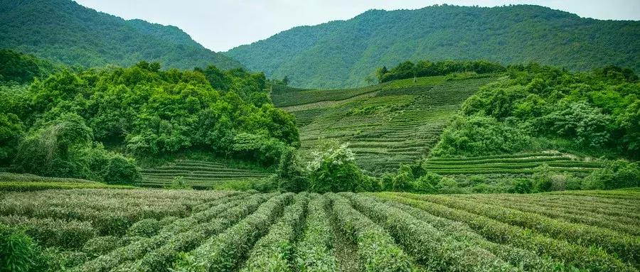 快递员8000到13000工资是真实的吗,8500元月薪背后的快递小哥故事