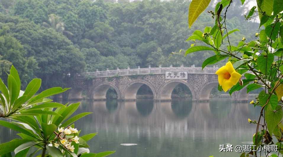 湛江十大排名公园,广东湛江市88亩公园是哪个