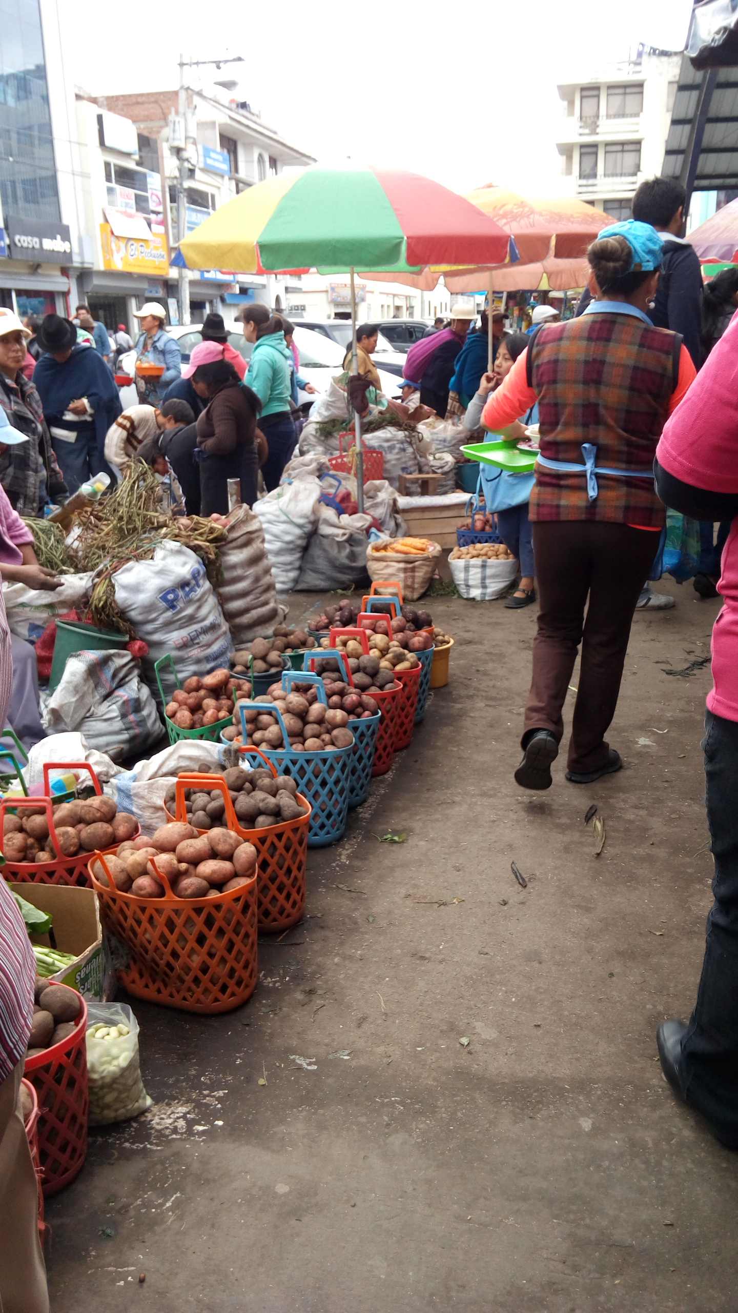 那年我在南美洲厄瓜多尔逛农贸市场，看到蔬果是按只按堆按袋计价