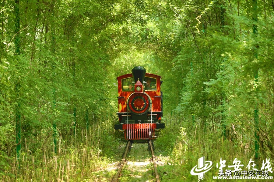 五一出发安徽3-5天短途旅游推荐,列出3条安徽经典的旅游路线