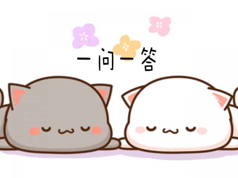 猫盘问题,猫问题解答大全