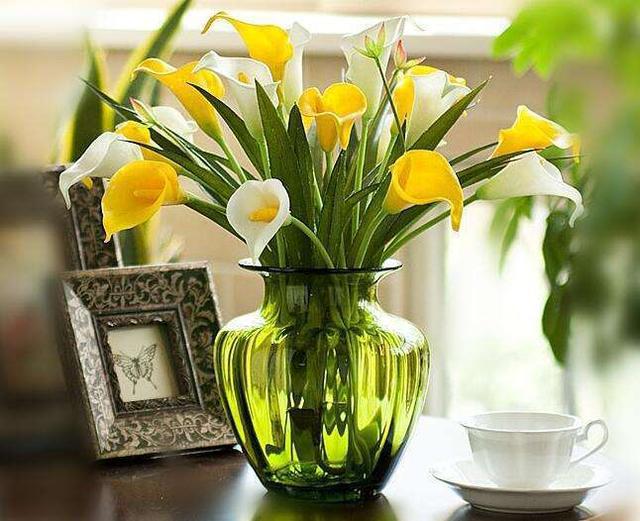 这3种花尽量不要碰水,一年四季不死的十种花水养